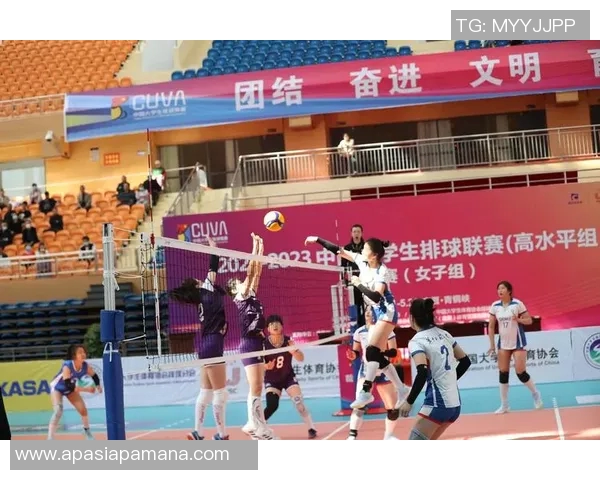 武汉排球队引领最新排球团队协作榜单前十强分析与展望